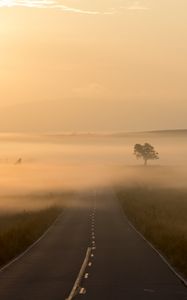 Preview wallpaper road, fog, marking, tree