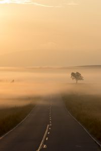 Preview wallpaper road, fog, marking, tree