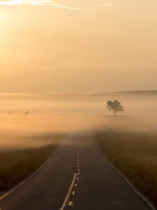 Preview wallpaper road, fog, marking, tree