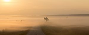 Preview wallpaper road, fog, marking, tree