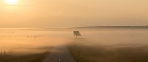 Preview wallpaper road, fog, marking, tree