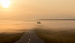 Preview wallpaper road, fog, marking, tree