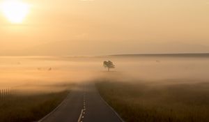 Preview wallpaper road, fog, marking, tree