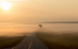 Preview wallpaper road, fog, marking, tree