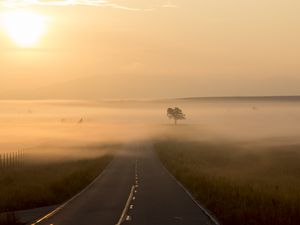 Preview wallpaper road, fog, marking, tree