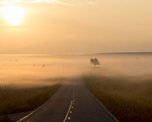 Preview wallpaper road, fog, marking, tree