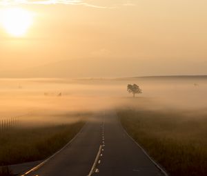 Preview wallpaper road, fog, marking, tree