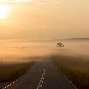 Preview wallpaper road, fog, marking, tree