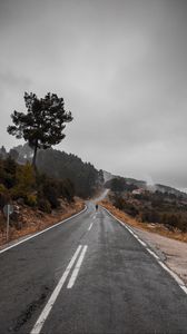 Preview wallpaper road, fog, silhouette, loneliness, tree