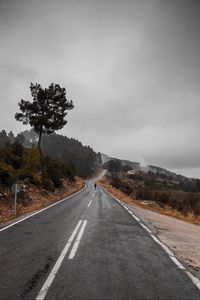 Preview wallpaper road, fog, silhouette, loneliness, tree