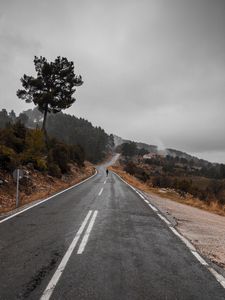 Preview wallpaper road, fog, silhouette, loneliness, tree