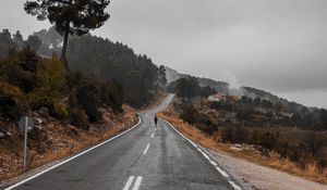 Preview wallpaper road, fog, silhouette, loneliness, tree