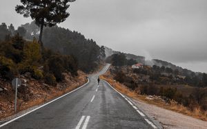 Preview wallpaper road, fog, silhouette, loneliness, tree
