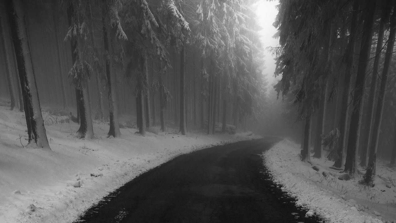 Wallpaper road, fog, snow, turn, trees
