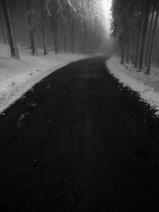 Preview wallpaper road, fog, snow, turn, trees