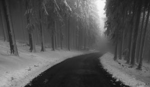 Preview wallpaper road, fog, snow, turn, trees