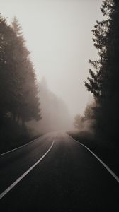Preview wallpaper road, fog, spruce, forest
