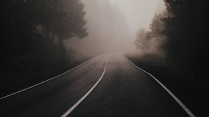 Preview wallpaper road, fog, spruce, forest
