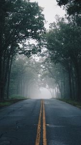 Preview wallpaper road, fog, trees, marking, asphalt