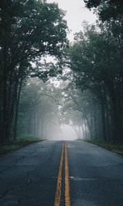 Preview wallpaper road, fog, trees, marking, asphalt