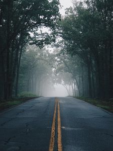 Preview wallpaper road, fog, trees, marking, asphalt