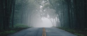 Preview wallpaper road, fog, trees, marking, asphalt