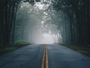 Preview wallpaper road, fog, trees, marking, asphalt