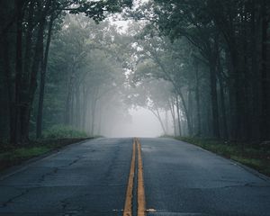 Preview wallpaper road, fog, trees, marking, asphalt