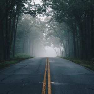 Preview wallpaper road, fog, trees, marking, asphalt