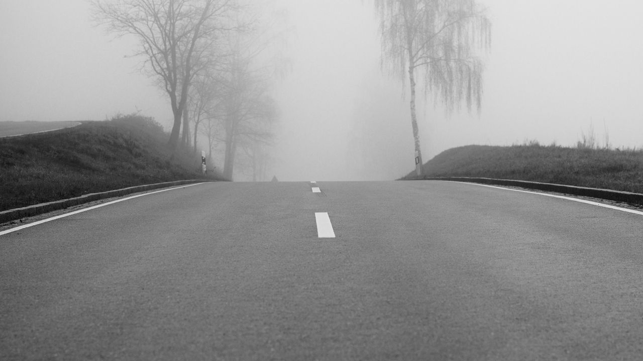 Wallpaper road, fog, trees, bw, hills