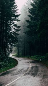 Preview wallpaper road, fog, trees, turn, asphalt