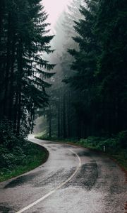 Preview wallpaper road, fog, trees, turn, asphalt