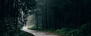 Preview wallpaper road, fog, trees, turn, asphalt