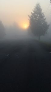 Preview wallpaper road, fog, trees, dark