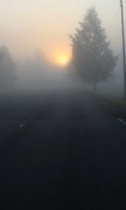 Preview wallpaper road, fog, trees, dark