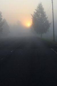Preview wallpaper road, fog, trees, dark