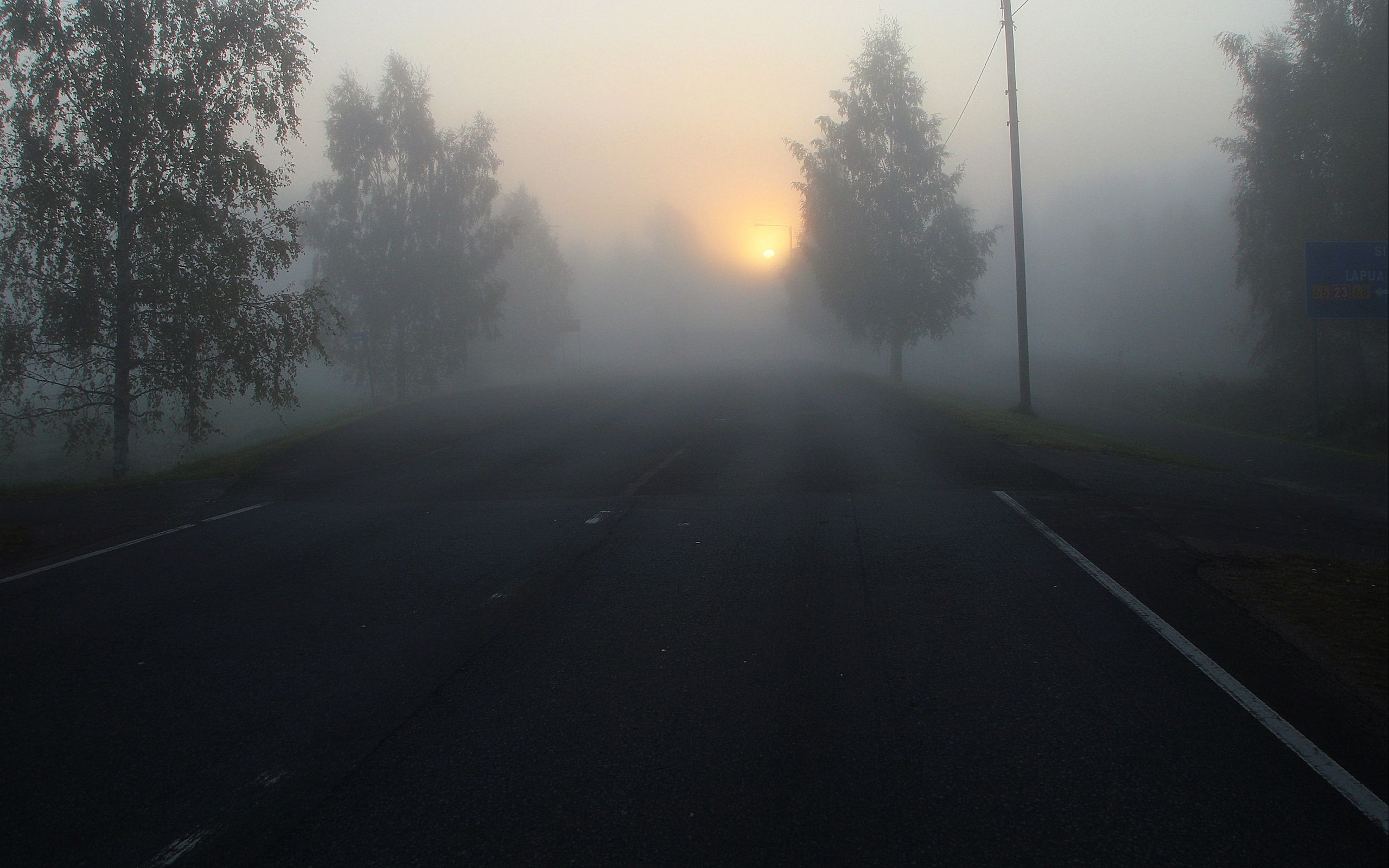 2560x1600 Wallpaper road, fog, trees, dark