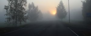 Preview wallpaper road, fog, trees, dark
