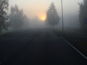 Preview wallpaper road, fog, trees, dark