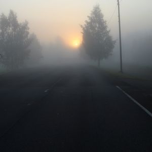 Preview wallpaper road, fog, trees, dark