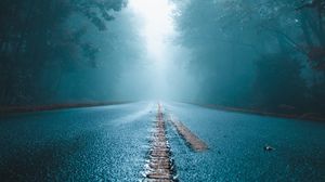 Preview wallpaper road, fog, trees, asphalt, wet