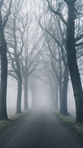 Preview wallpaper road, fog, trees, nature