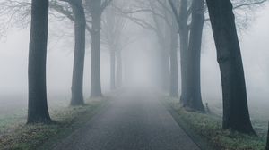 Preview wallpaper road, fog, trees, nature