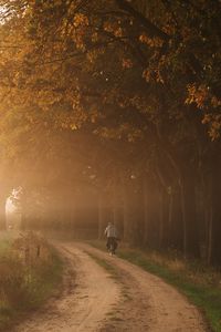 Preview wallpaper road, fog, trees, cyclist, nature