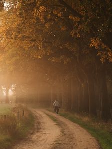 Preview wallpaper road, fog, trees, cyclist, nature