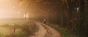 Preview wallpaper road, fog, trees, cyclist, nature