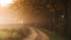 Preview wallpaper road, fog, trees, cyclist, nature