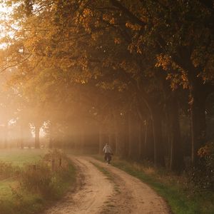 Preview wallpaper road, fog, trees, cyclist, nature