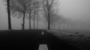 Preview wallpaper road, fog, trees, bw