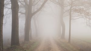 Preview wallpaper road, fog, trees, branches, nature